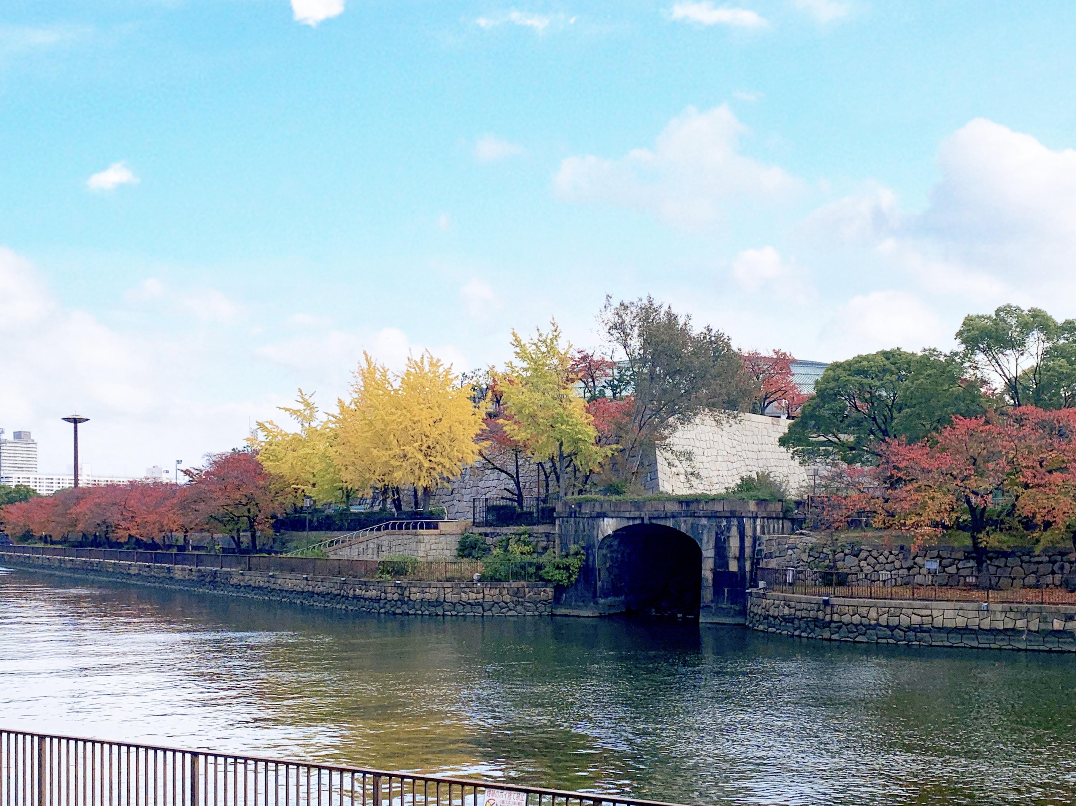 http://www.nb-net.or.jp/blog/hitorigoto/F5389BEF-9ACD-49FA-9111-A85C4EBF803B.jpeg
