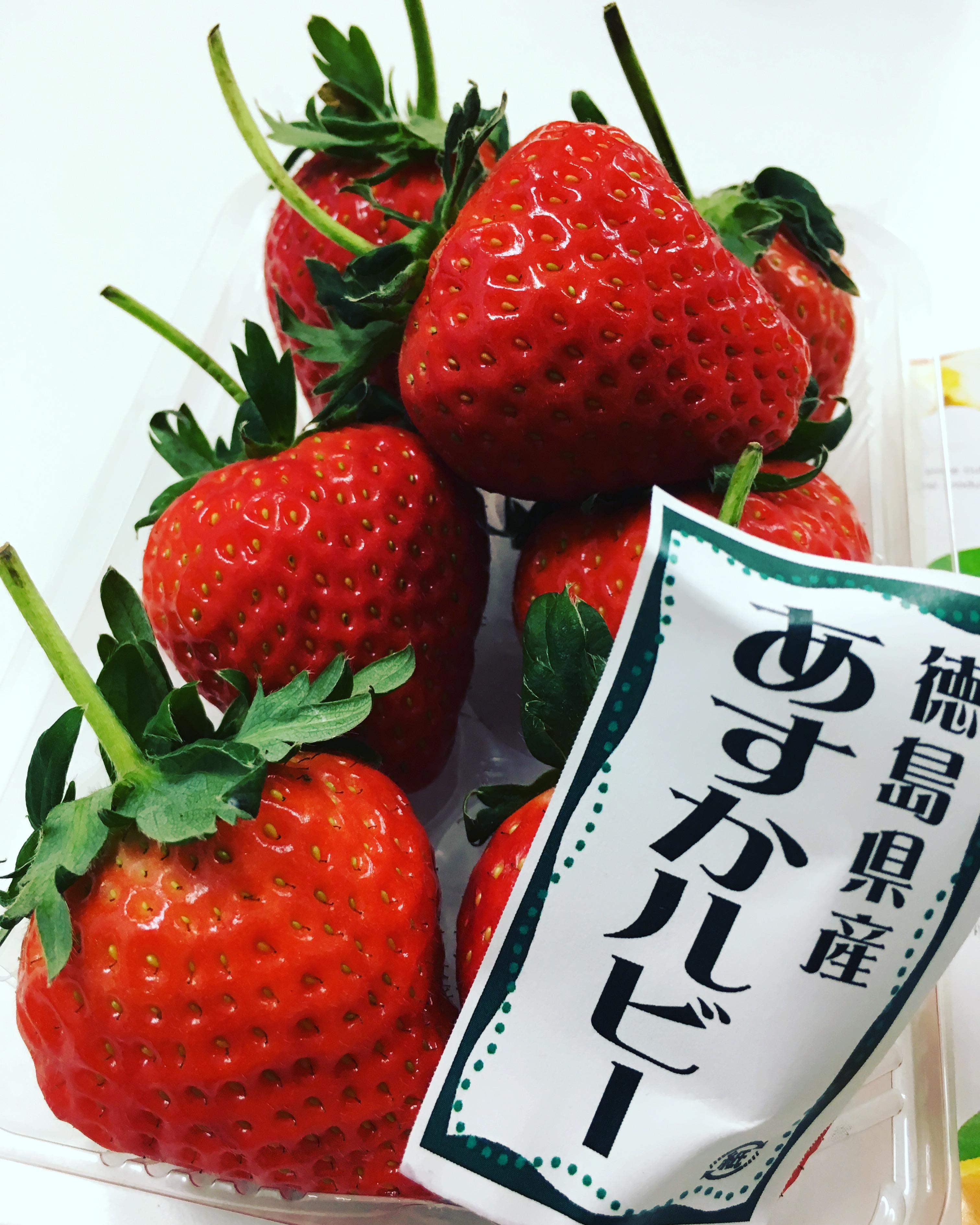 http://www.nb-net.or.jp/blog/hitorigoto/b34068a05326437c0ca0bc41bb6cace6e93b486e.JPG