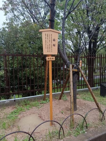 https://www.nb-net.or.jp/blog/hitorigoto/img/e254584301d28c6c042efbfa408a6d9ad07566f5.jpg